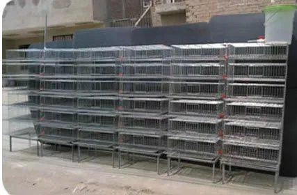 Jaulas para codornices — Comprar Jaulas para codornices, Precio de ...