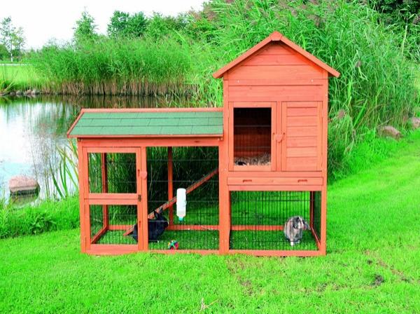 Jaulas para conejos, un hábitat necesario - Animalear.com