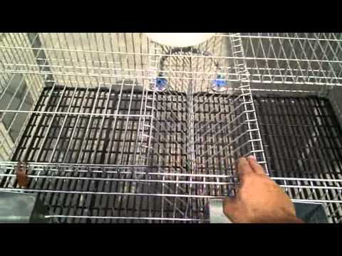 Jaulas Para Conejos | www.TuGranjaenCasa.es - YouTube