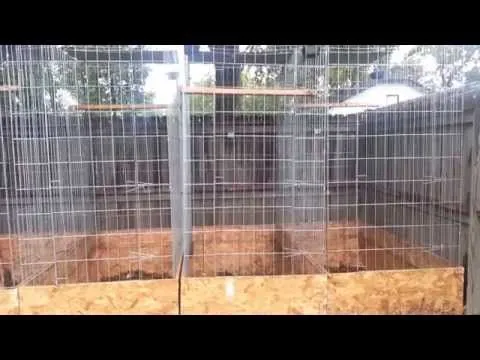 jaulas para gallos de pelea - Youtube Downloader mp3 jaulas para gallos de pelea - Youtube Downloader mp3