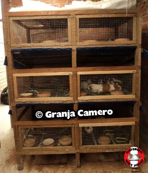 Jaulas: Modelos y Medidas ~ Jaulas Para Cuyes