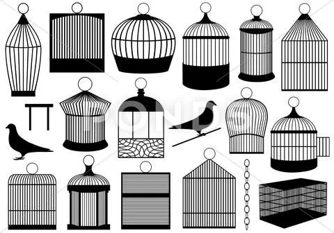 Jaulas De Pájaros Gráficos, Ilustraciones, Arte y Vectores ... Jaulas De Pájaros Gráficos, Ilustraciones, Arte y Vectores ...