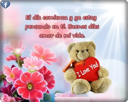javykooi (@javykooi) | Twitter