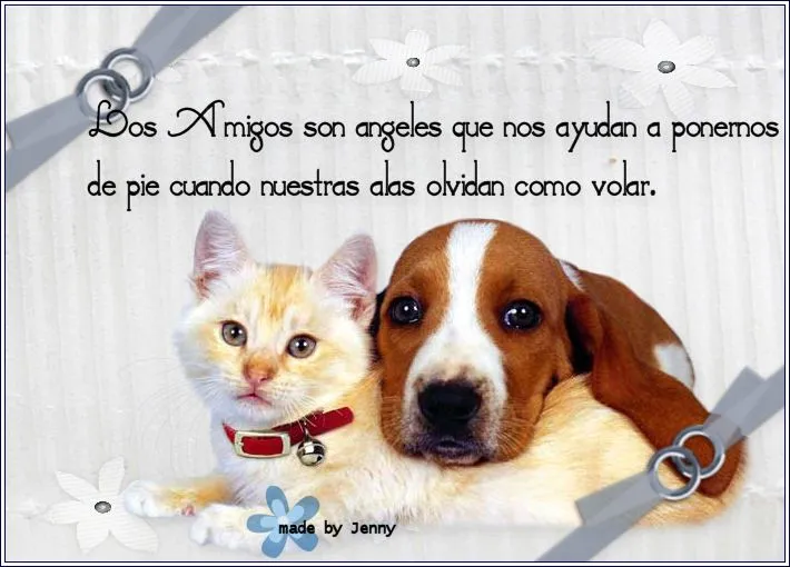 Jesucristo el que Ama mi Alma: *** El auténtico amigo *** Jesucristo el que Ama mi Alma: *** El auténtico amigo ***
