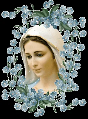 JESUCRISTO TE AMA: MENSAJE DE LA VIRGEN DE MEDJUGORJE JESUCRISTO TE AMA: MENSAJE DE LA VIRGEN DE MEDJUGORJE