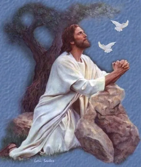 Jesus orando - Imagui