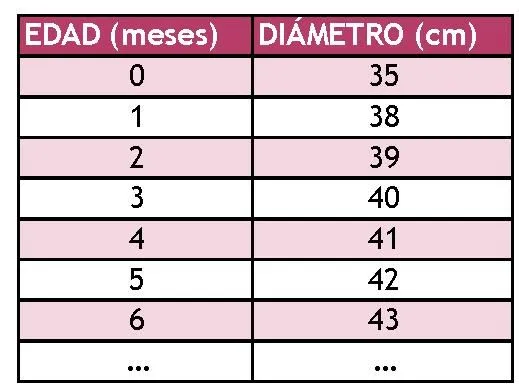 Jimena en la almena: Capota blanca