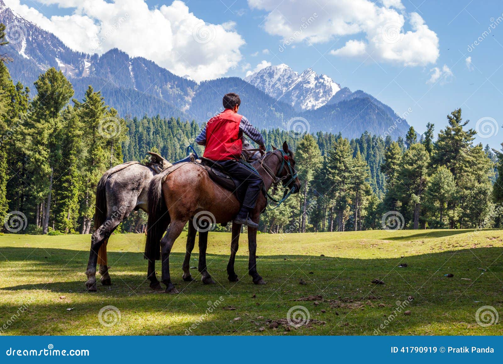Jinete Con Los Caballos, Paisaje Hermoso Imagen de archivo ... Jinete Con Los Caballos, Paisaje Hermoso Imagen de archivo ...