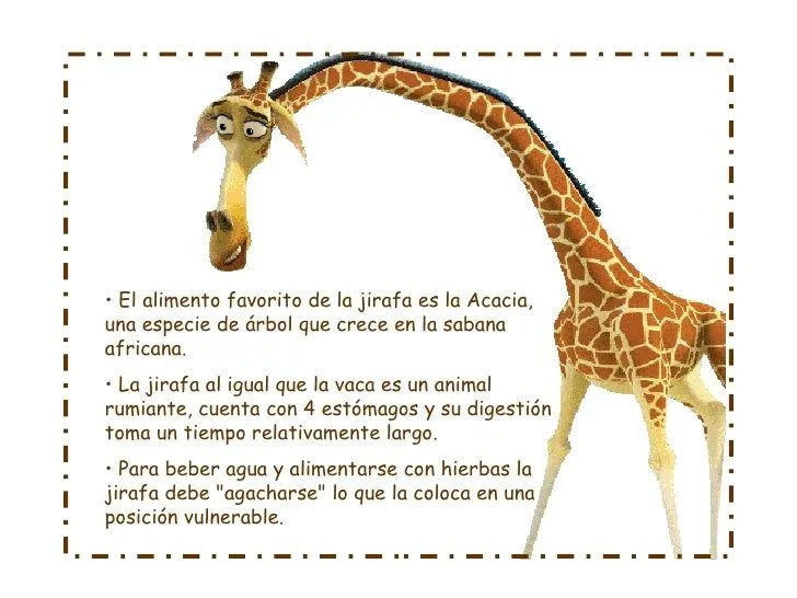 jirafa-4-728.jpg?cb=1191957012