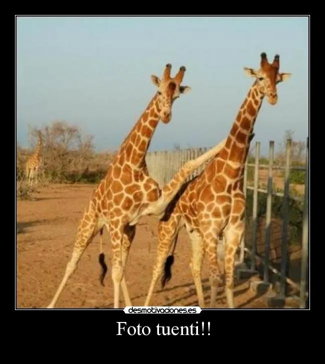 Carteles de Jirafa Pag. 4 | Desmotivaciones Carteles de Jirafa Pag. 4 | Desmotivaciones