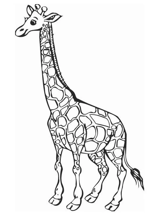 Jirafas bebé para colorear - Imagui