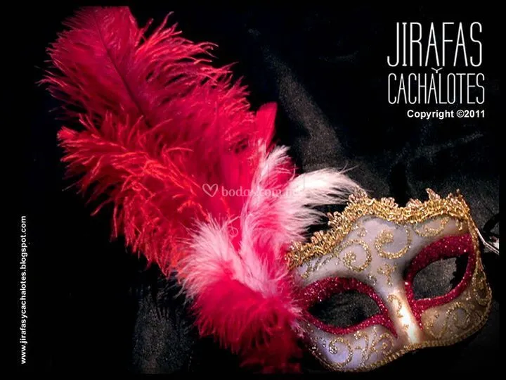 Jirafas y Cachalotes
