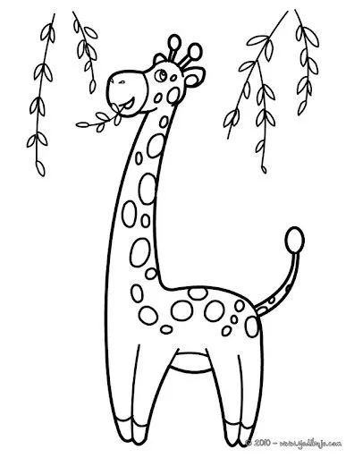 JIRAFAS DIBUJOS PARA COLOREAR | Dibujos para colorear