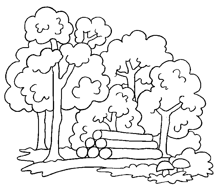 Joaquina: RECURSOS NATURALES Joaquina: RECURSOS NATURALES