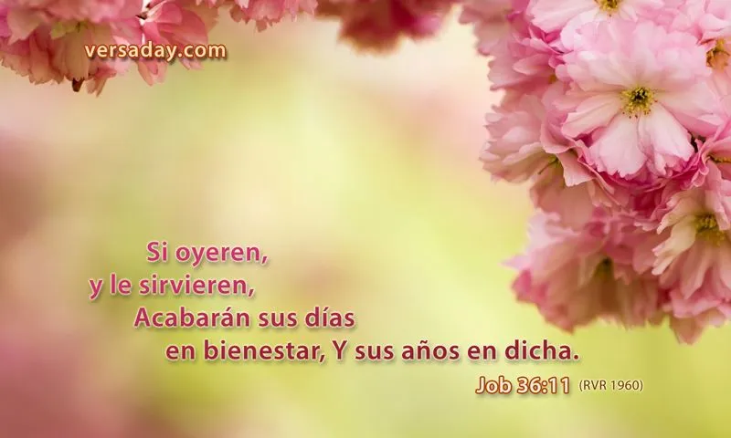 Job 36:11 - Versiculo para Agosto 22 Job 36:11 - Versiculo para Agosto 22