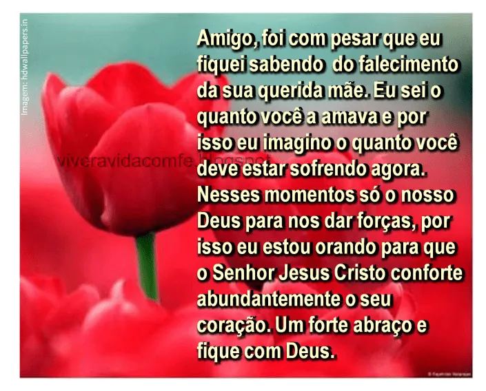 Mensagens de Fé da Palavra de Deus: Mensagem de conforto para um ...
