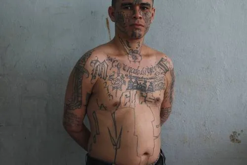 La Jornada: Expertos critican la criminalización de pandillas por ...