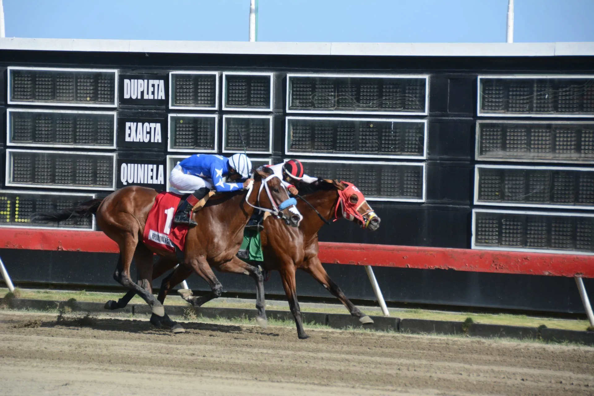 Jornada de favoritos en el Hipódromo Quinto Centenario - Momento Deportivo  RD