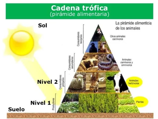 jornada-professional-15052014 ...