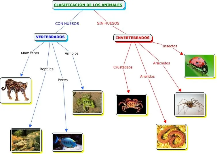 JÓVENES CREADORES