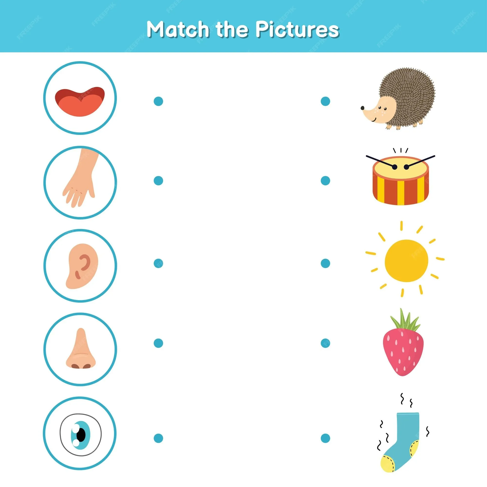 Juego de combinación de cinco sentidos para niños. vista, tacto, oído, olfato y gusto. haga coincidir la página de actividades de imágenes. aprendiendo material de partes del cuerpo para preescolar. libro de Juego de combinación de cinco sentidos para niños. vista, tacto, oído, olfato y gusto. haga coincidir la página de actividades de imágenes. aprendiendo material de partes del cuerpo para preescolar. libro de