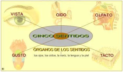 EL JUEGO DE HOY: LOS CINCO SENTIDOS