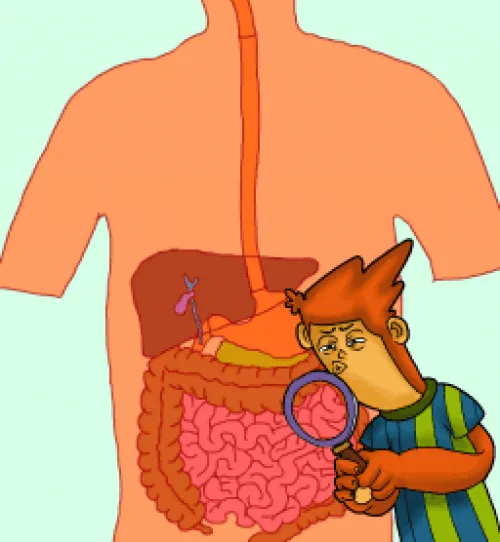 JUEGO DE LAS PARTES DEL APARATO DIGESTIVO | JUGANDO Y APRENDIENDO JUEGO DE LAS PARTES DEL APARATO DIGESTIVO | JUGANDO Y APRENDIENDO