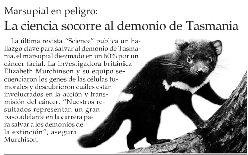juegos buenos, historias, informacion, ect : textos informativos juegos buenos, historias, informacion, ect : textos informativos