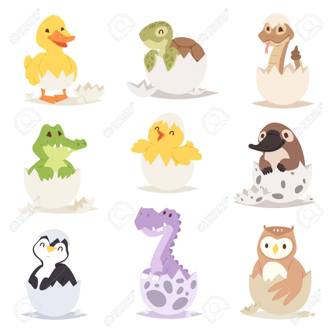 Juegos de Ciencias | Juego de Animales ovíparos - Une | Cerebriti Juegos de Ciencias | Juego de Animales ovíparos - Une | Cerebriti