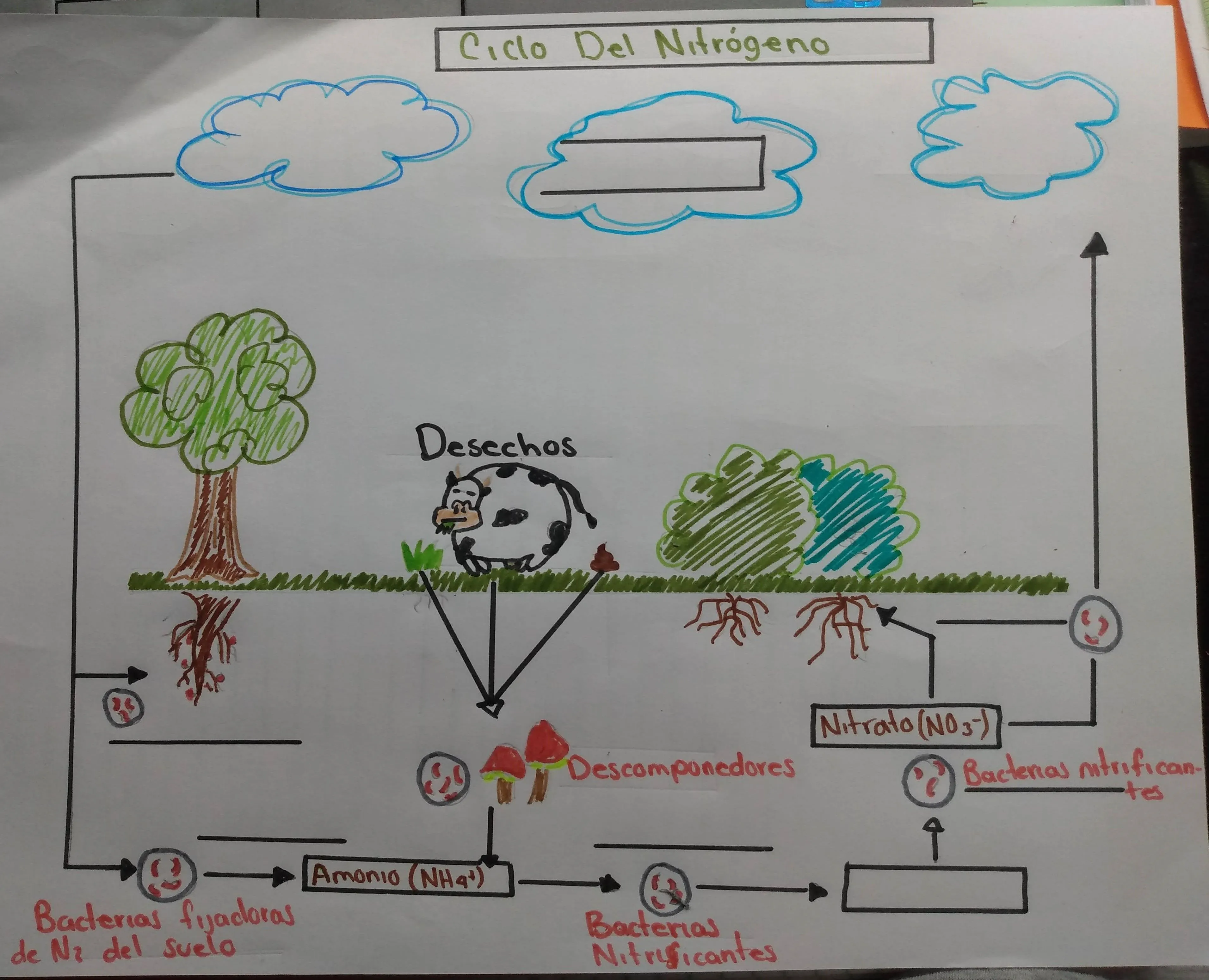 Juegos de Ciencias | Juego de El ciclo del nitrógeno (1) | Cerebriti Juegos de Ciencias | Juego de El ciclo del nitrógeno (1) | Cerebriti