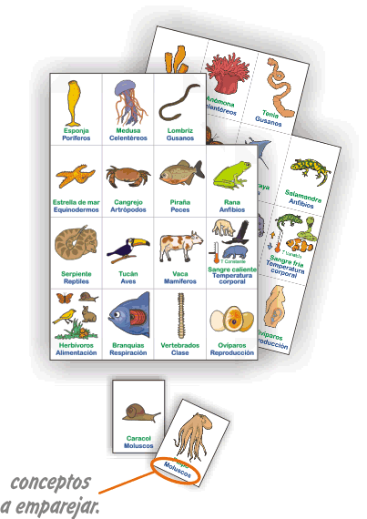 JUEGOS EDUCATIVOS PIPO: ANIMALES