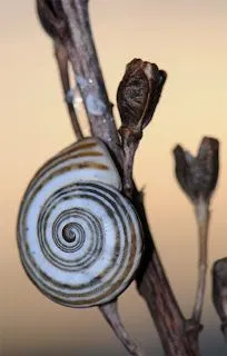 jueves 16 de octubre de 2008