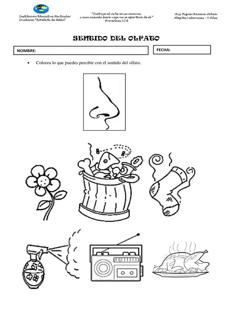 Jueves 30 - SENTIDO DEL OLFATO | PDF
