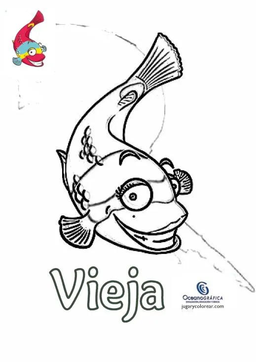jugar y colorear dibujos para colorear jugar y colorear dibujos para colorear