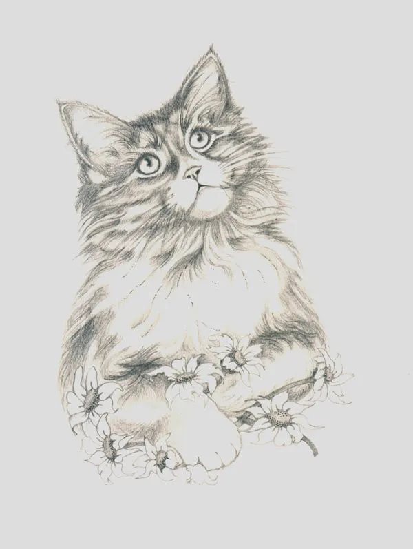 Imagenes de gatos dibujados con lapiz - Imagui Imagenes de gatos dibujados con lapiz - Imagui