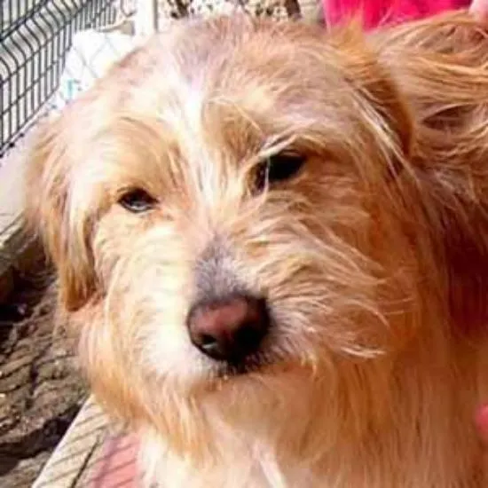 junio 2012 | Desde la Barandilla