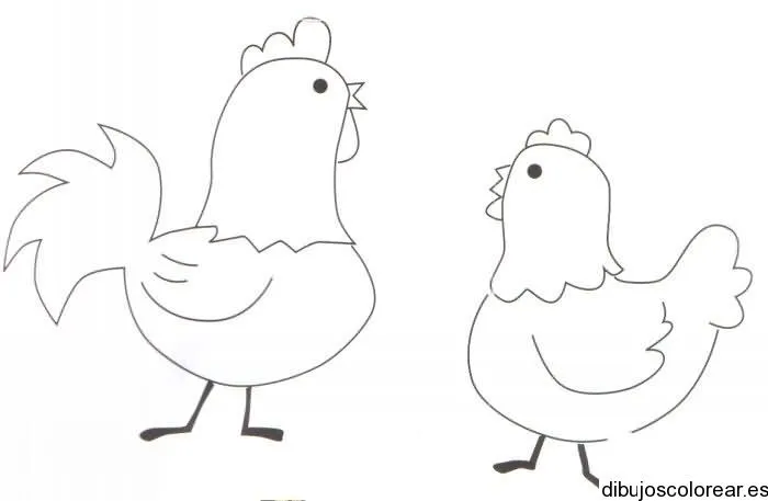 Pollos | Dibujos para Colorear