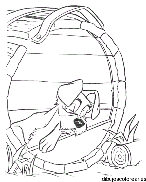 Dibujo de un perro durmiendo en barril | Dibujos para Colorear Dibujo de un perro durmiendo en barril | Dibujos para Colorear