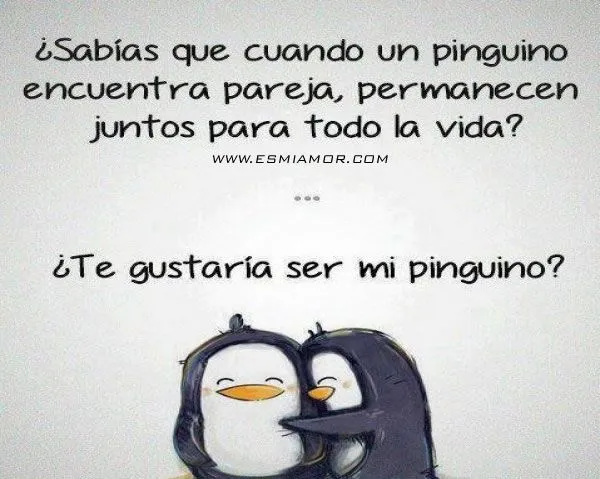 Juntitos como pinguinitos | EsMiAmor - Descargar Imágenes de Amor ... Juntitos como pinguinitos | EsMiAmor - Descargar Imágenes de Amor ...