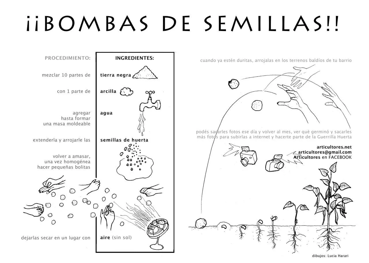 KaFé Deluna TeAtRo SóLo PaRa LoKos: Así se hace una bomba de semillas KaFé Deluna TeAtRo SóLo PaRa LoKos: Así se hace una bomba de semillas