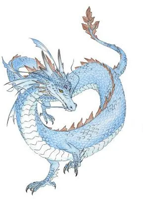 KARATE-DO 空手道: 龍 Dragón chino