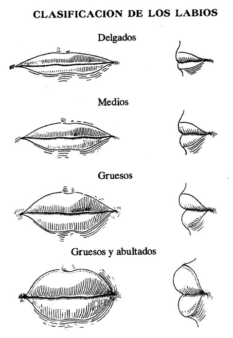 Formas de labios y cómo cuidarlos : Kat Maquillaje y Accesorios Formas de labios y cómo cuidarlos : Kat Maquillaje y Accesorios