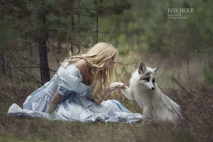 Katerina Plotnikova wallpaper animales - Buscar con Google ... Katerina Plotnikova wallpaper animales - Buscar con Google ...