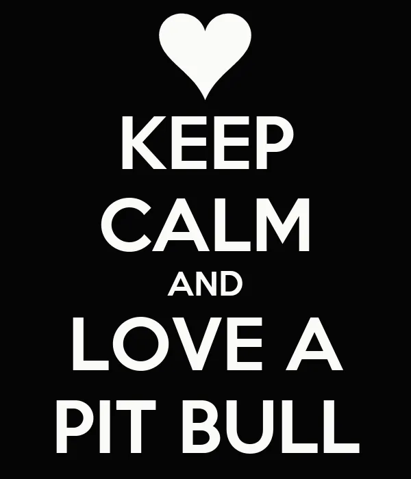 KEEP CALM AND LOVE A PIT BULL - KEEP CALM AND CARRY ON Image ... KEEP CALM AND LOVE A PIT BULL - KEEP CALM AND CARRY ON Image ...