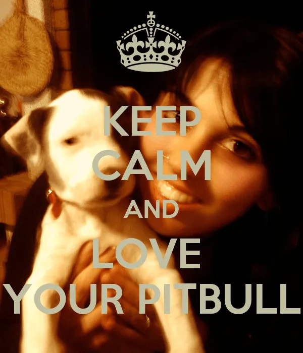 KEEP CALM AND LOVE YOUR PITBULL - KEEP CALM AND CARRY ON Image ... KEEP CALM AND LOVE YOUR PITBULL - KEEP CALM AND CARRY ON Image ...