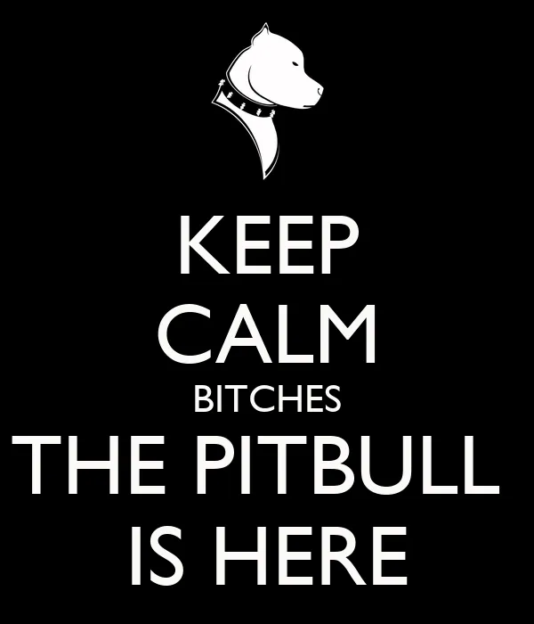 KEEP CALM BITCHES THE PITBULL IS HERE - KEEP CALM AND CARRY ON ... KEEP CALM BITCHES THE PITBULL IS HERE - KEEP CALM AND CARRY ON ...