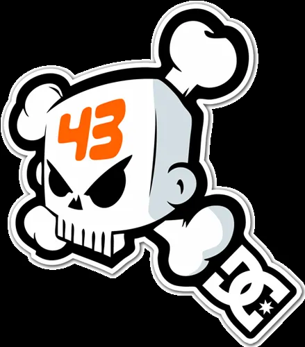 Ken Block 43 DC Shoes Calavera 1