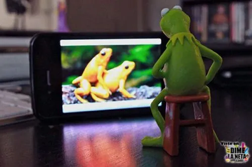 kermit the frog funny posts Quotes