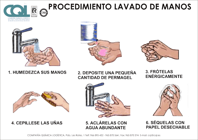 Kiiut: PROYECTO DE RESPONSABILIDAD SOCIAL EMPRESARIAL Kiiut: PROYECTO DE RESPONSABILIDAD SOCIAL EMPRESARIAL