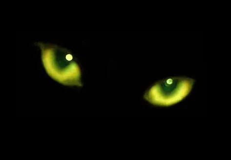 Kiki la Cosaca: Ojos de gato